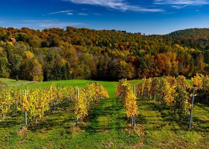 Hoefer Der Genusstreffpunkt 3*